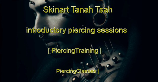 Skinart Tanah Tsah introductory piercing sessions | PiercingTraining | PiercingClasses | SkinartTraining-Afghanistan